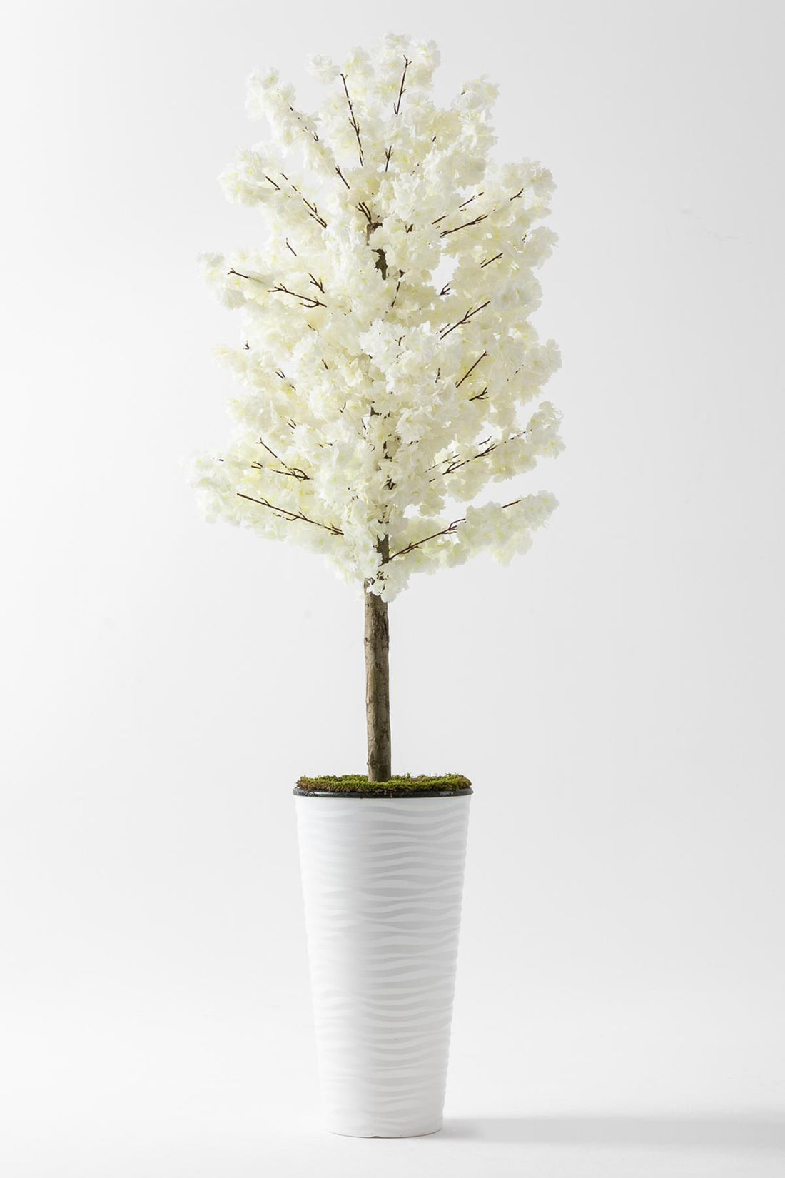 Yapay Ağaç Beyaz Bahar Dalı 180 Cm Konik Saksı