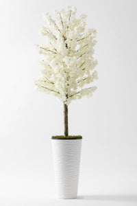 Yapay Ağaç Beyaz Bahar Dalı 180 Cm Konik Saksı