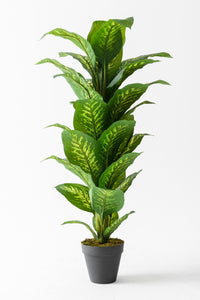 Yapay Ağaç Difenbahya 160 Cm Siyah Saksı