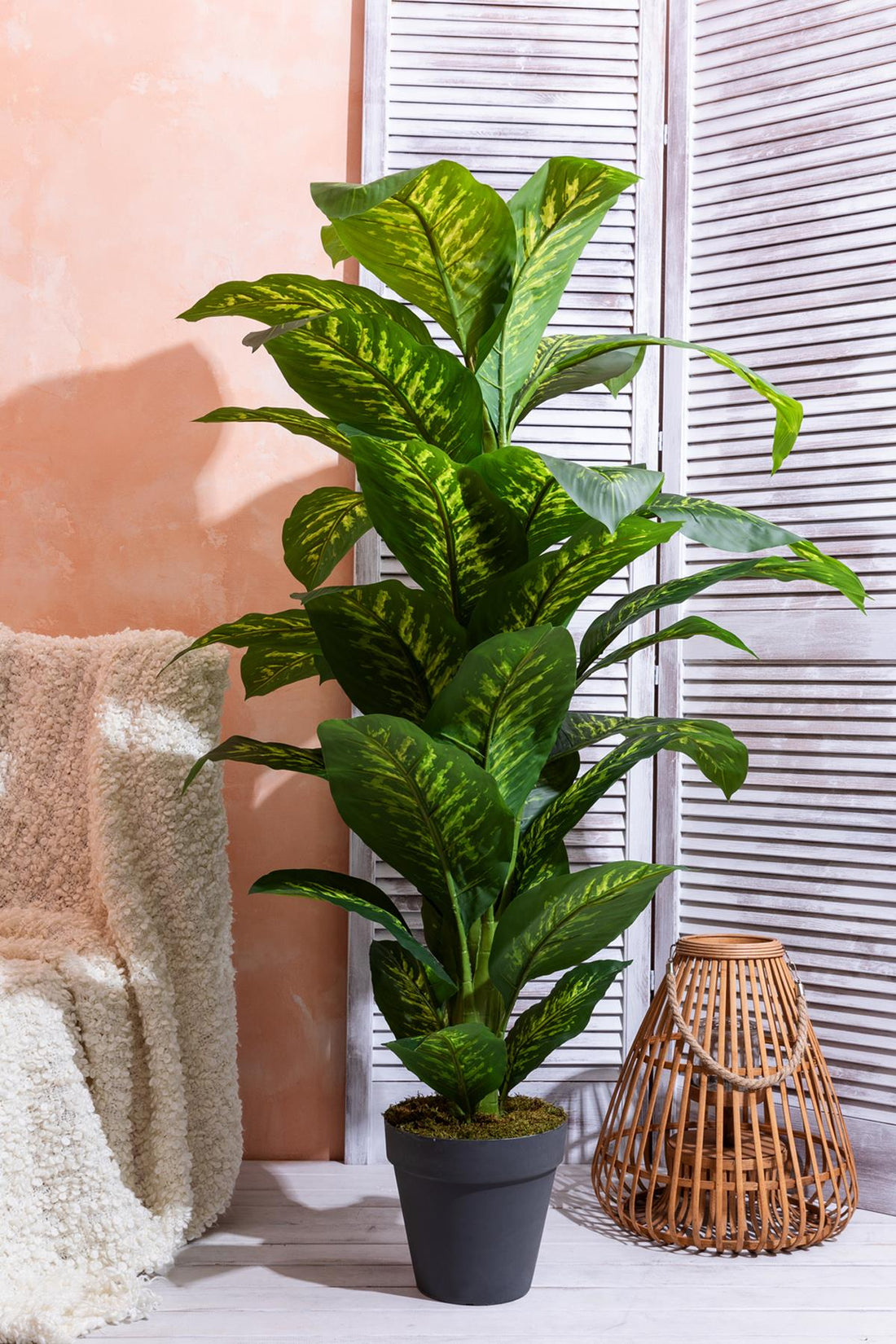 Yapay Ağaç Difenbahya 160 Cm Siyah Saksı