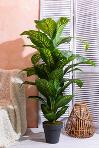 Yapay Ağaç Difenbahya 160 Cm Siyah Saksı