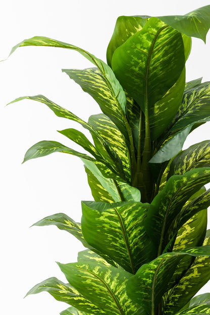 Yapay Ağaç Difenbahya 160 Cm Siyah Saksı