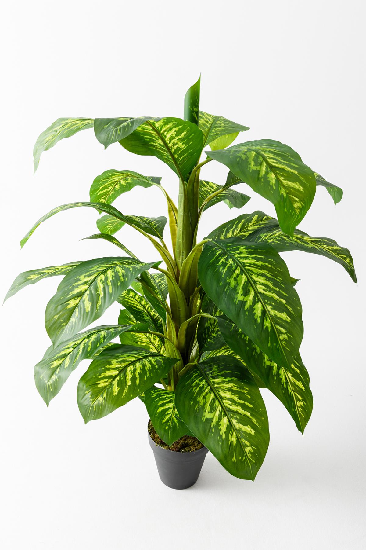 Yapay Ağaç Difenbahya 160 Cm Siyah Saksı