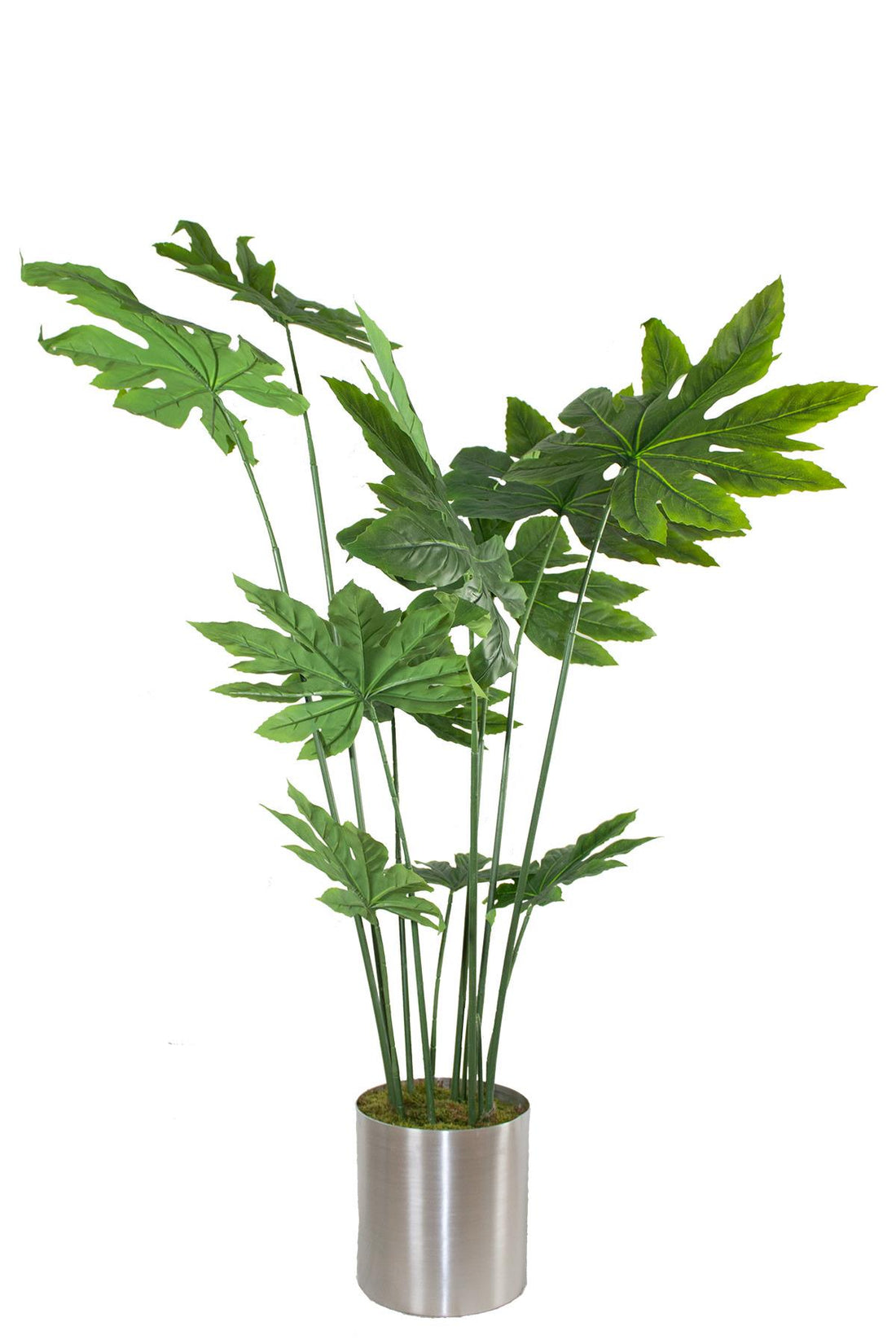 Yapay Ağaç Japon Çınar 160  cm 11 Dal