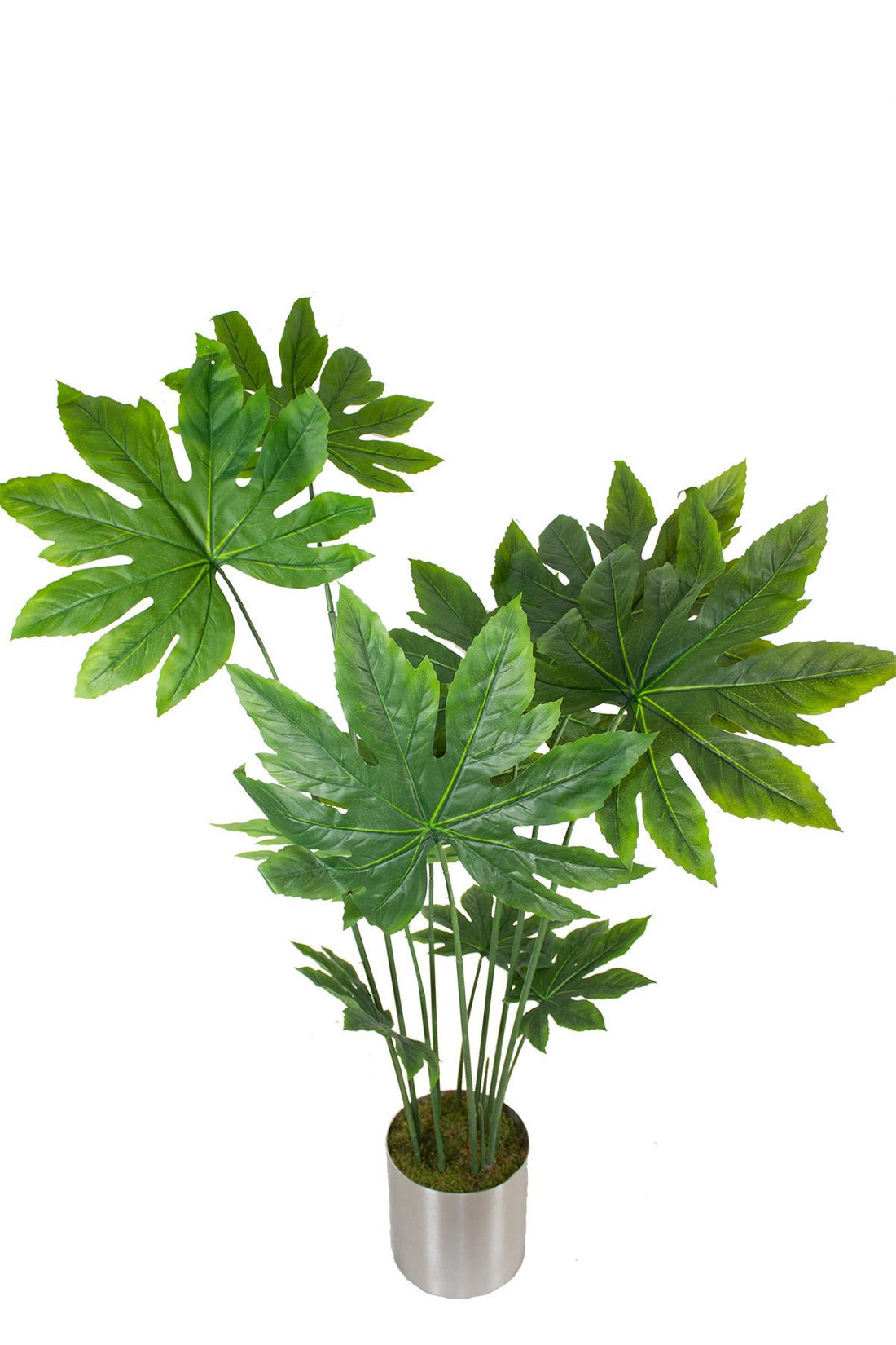 Yapay Ağaç Japon Çınar 160  cm 11 Dal