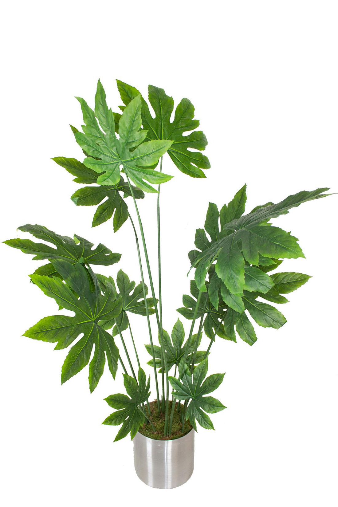 Yapay Ağaç Japon Çınar 180 cm 13 Dal