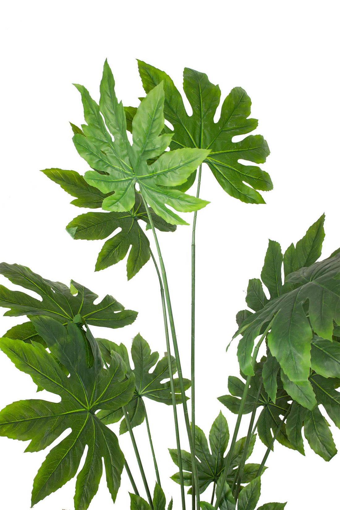 Yapay Ağaç Japon Çınar 180 cm 13 Dal