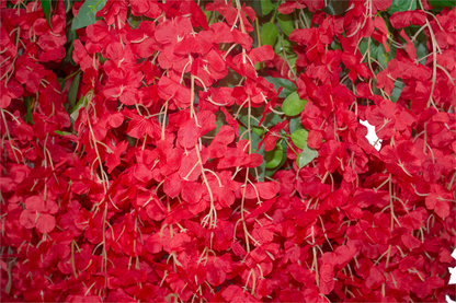 Yapay Ağaç Kırmızı Akasya Siyah Gold Saksı 180 Cm