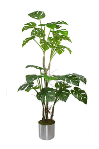Yapay Ağaç Monstera 170 Cm 29 Yaprak