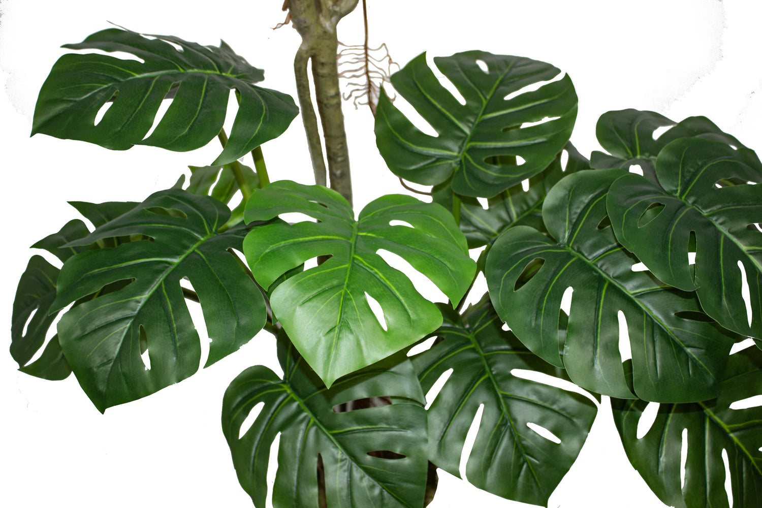 Yapay Ağaç Monstera 170 Cm 29 Yaprak