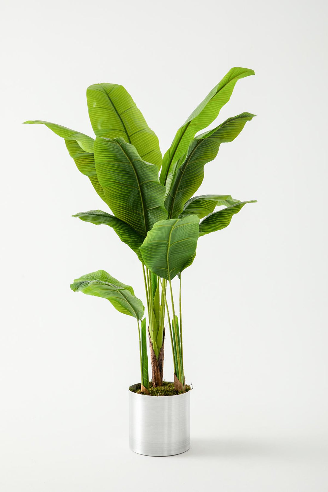 Yapay Ağaç Muz 160 Cm 13 Dal