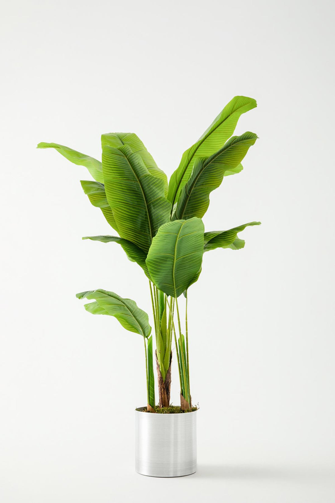 Yapay Ağaç Muz 160 Cm 13 Dal