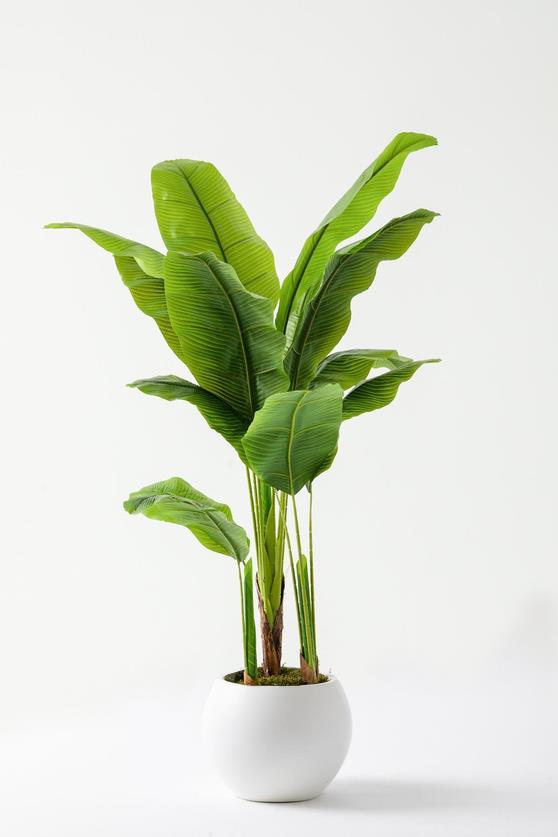 Yapay Ağaç Muz 160 Cm 13 Dal Plastik Küre Saksı