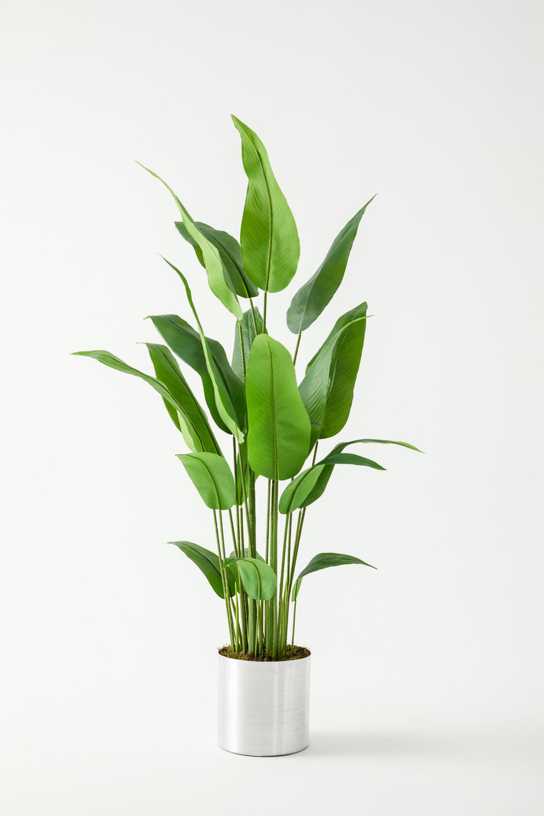 Yapay Ağaç Starliçe 160 Cm