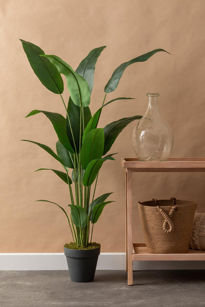 Yapay Ağaç Starliçe 160 Cm Siyah Saksı