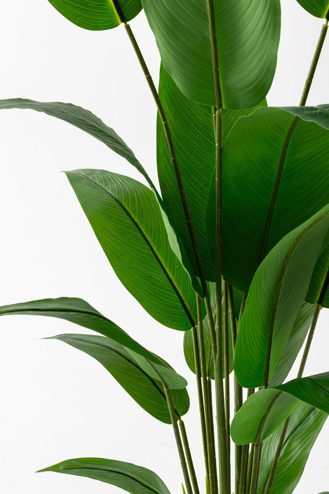 Yapay Ağaç Starliçe 160 Cm Siyah Saksı