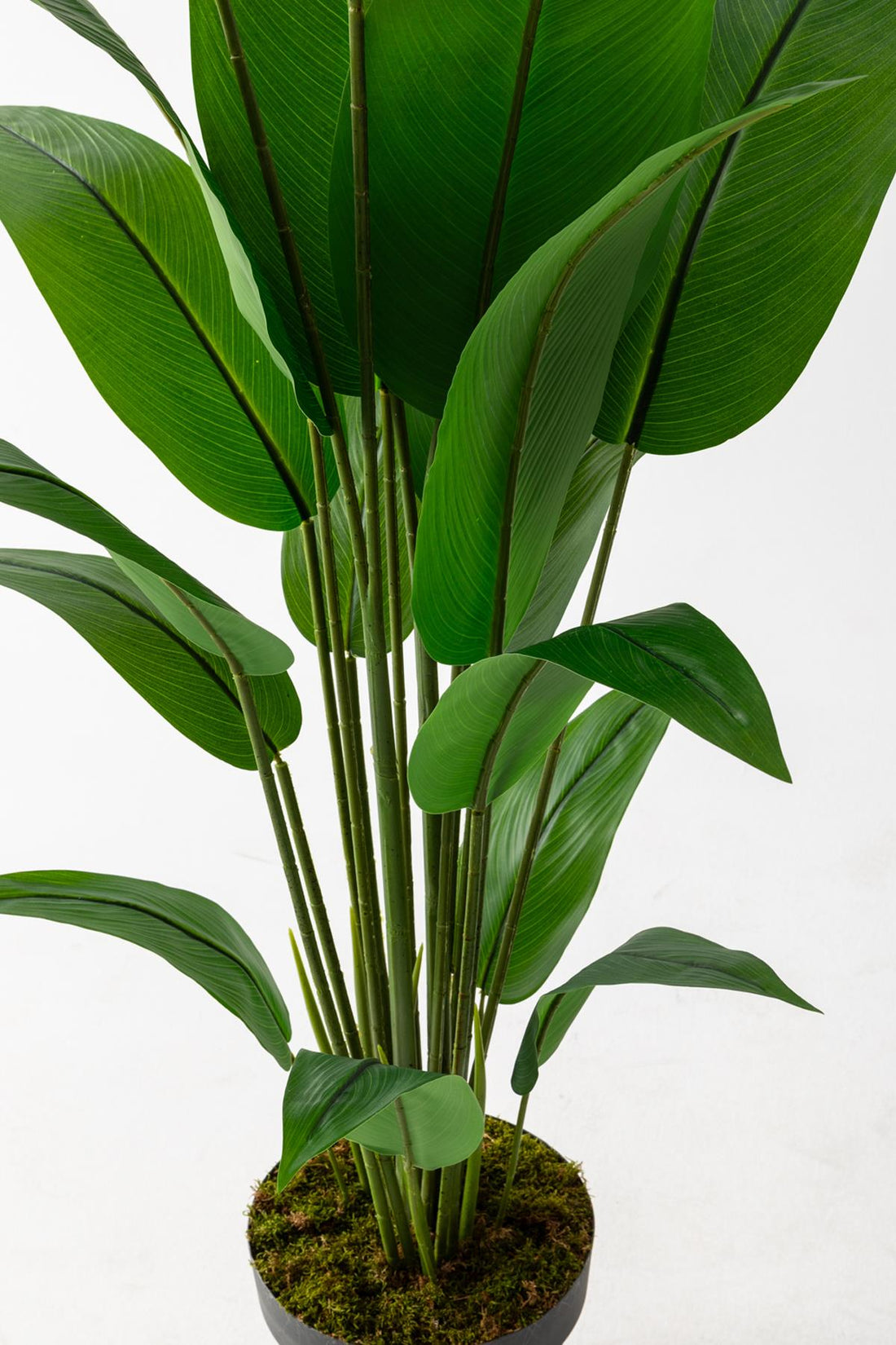 Yapay Ağaç Starliçe 160 Cm Siyah Saksı