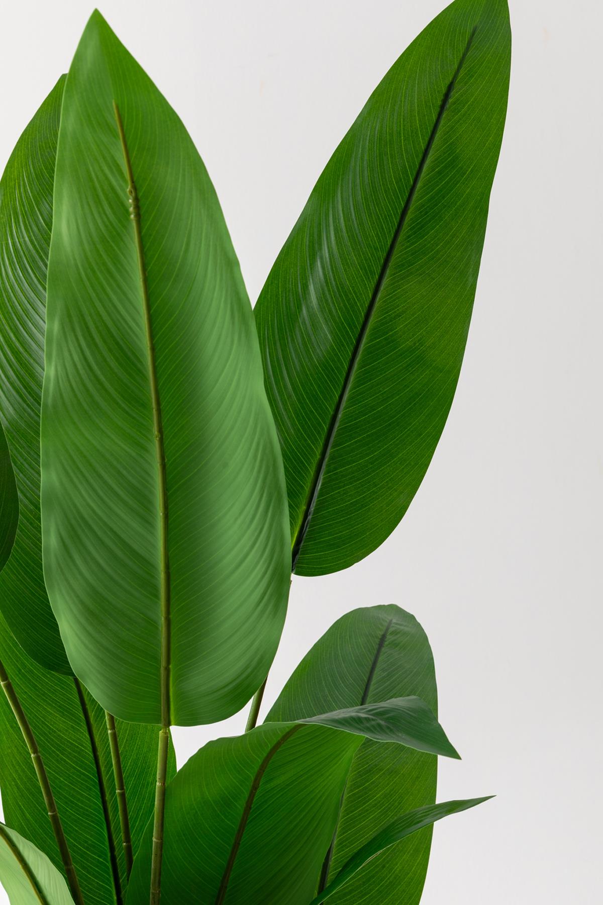 Yapay Ağaç Starliçe 160 Cm Siyah Saksı