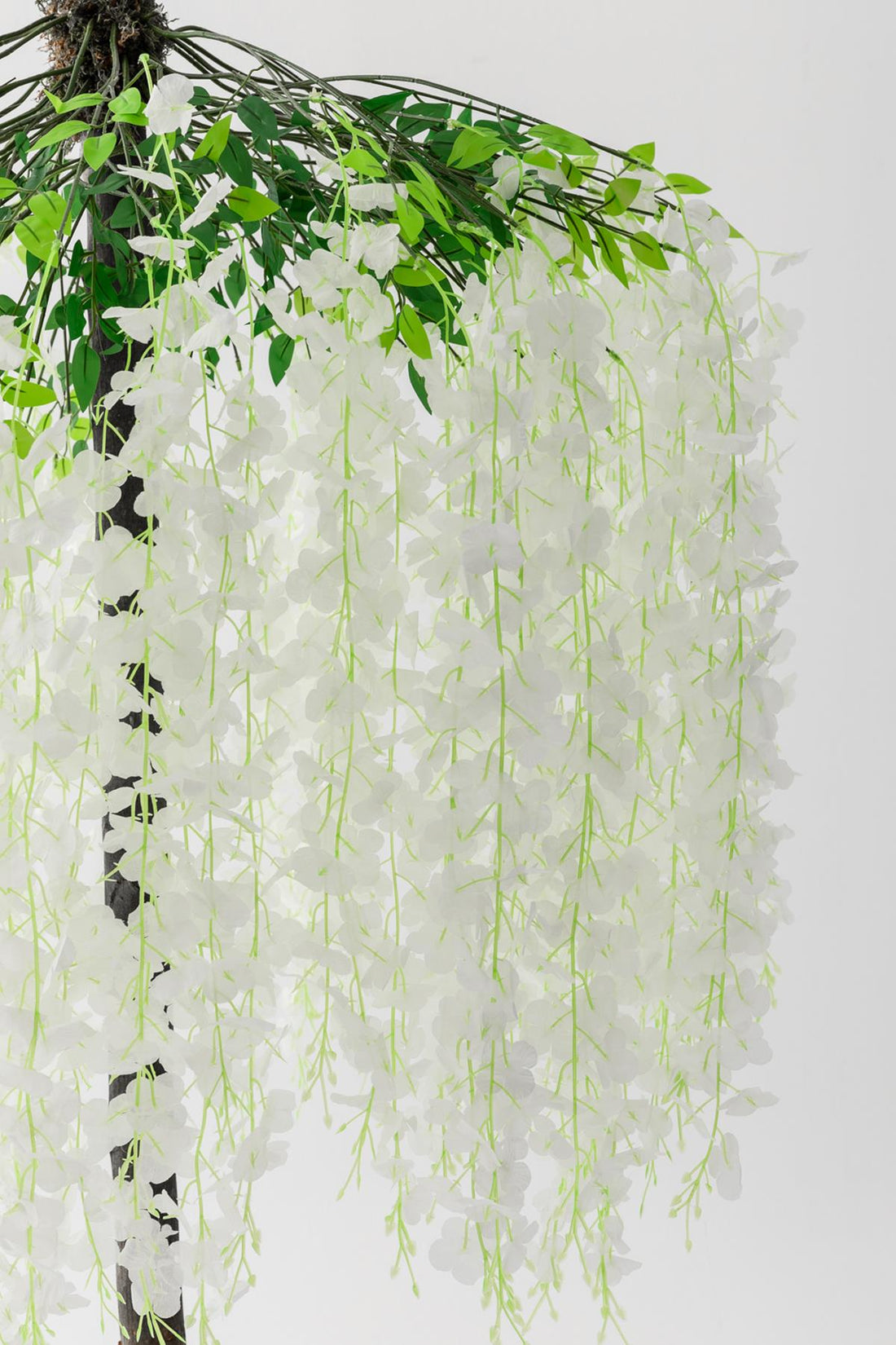 Yapay Akasya Ağacı Beyaz 180 Cm