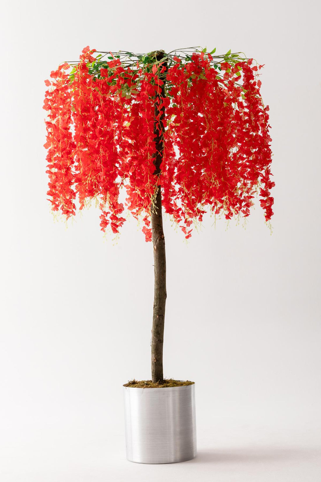 Yapay Akasya Ağacı Kırmızı 180 Cm