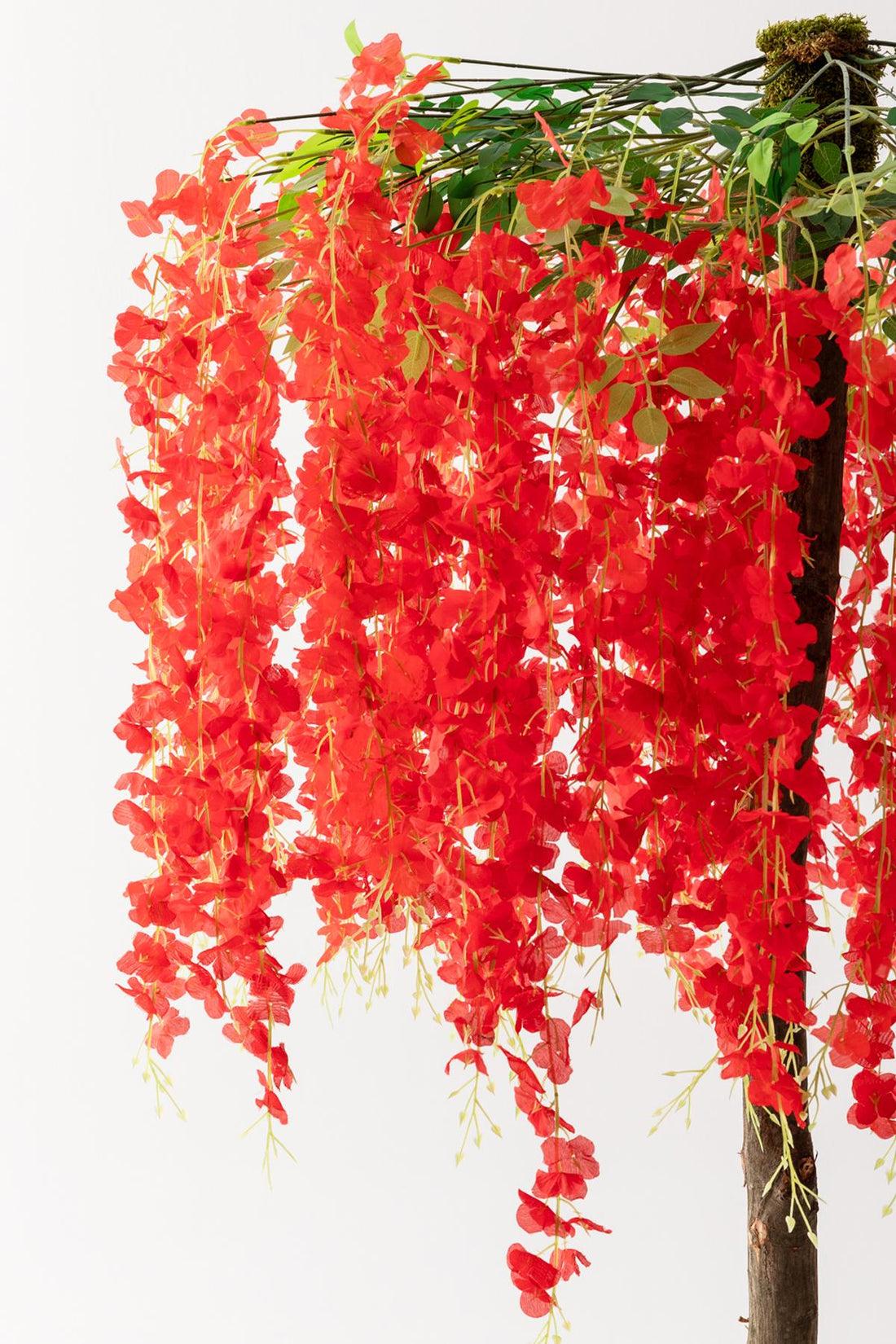 Yapay Akasya Ağacı Kırmızı 180 Cm