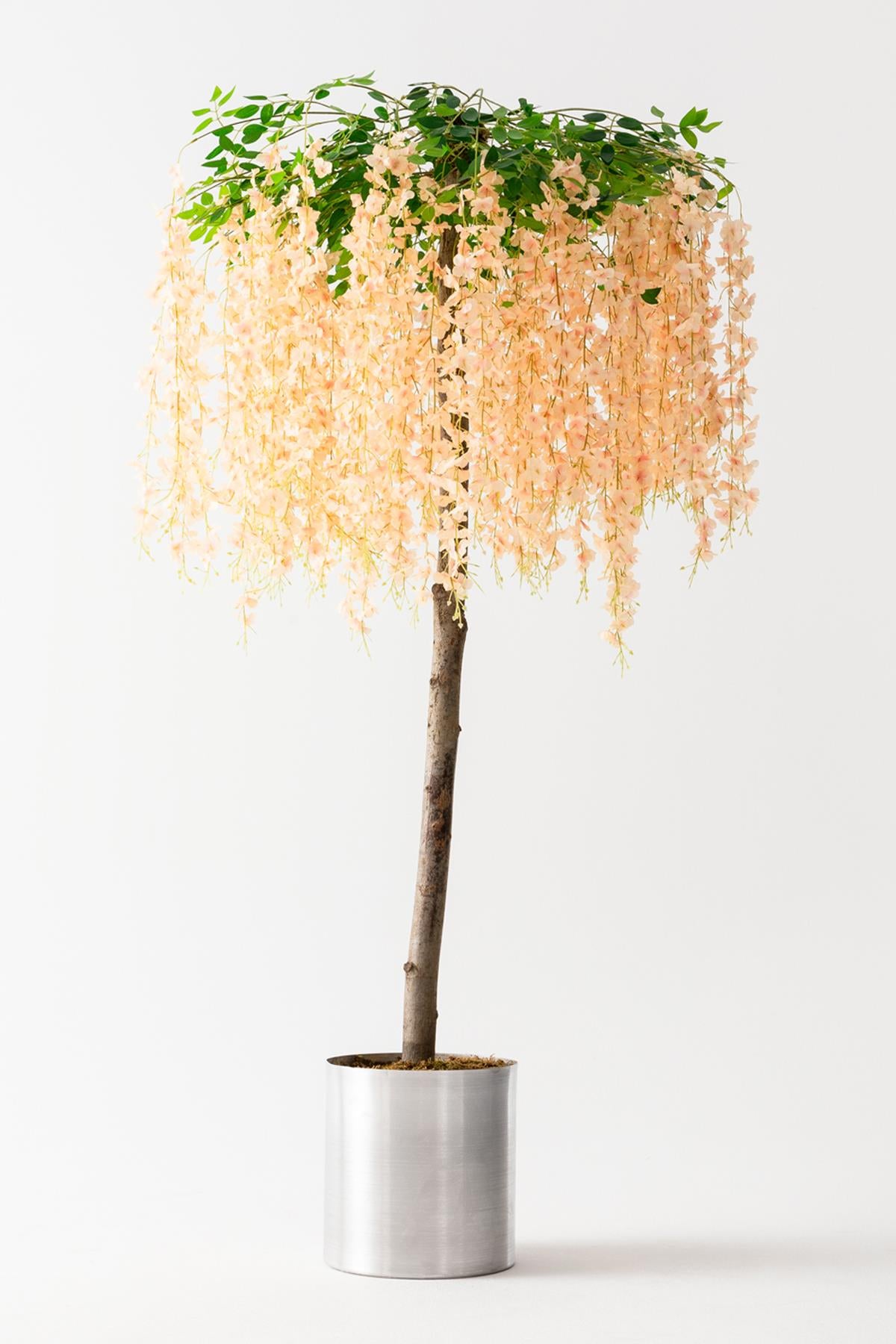 Yapay Akasya Ağacı Somon 180 Cm