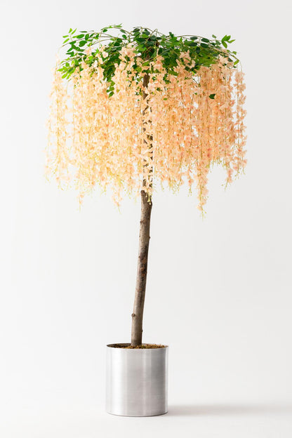 Yapay Akasya Ağacı Somon 180 Cm