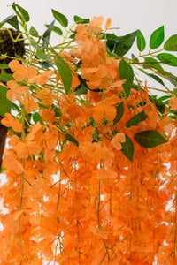 Yapay Akasya Ağacı Turuncu 180 Cm