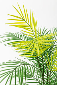 Yapay Areka Palmiyesi 130 Cm