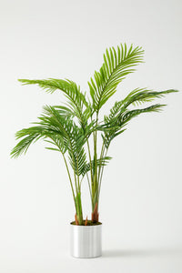 Yapay Areka Palmiyesi 160 Cm