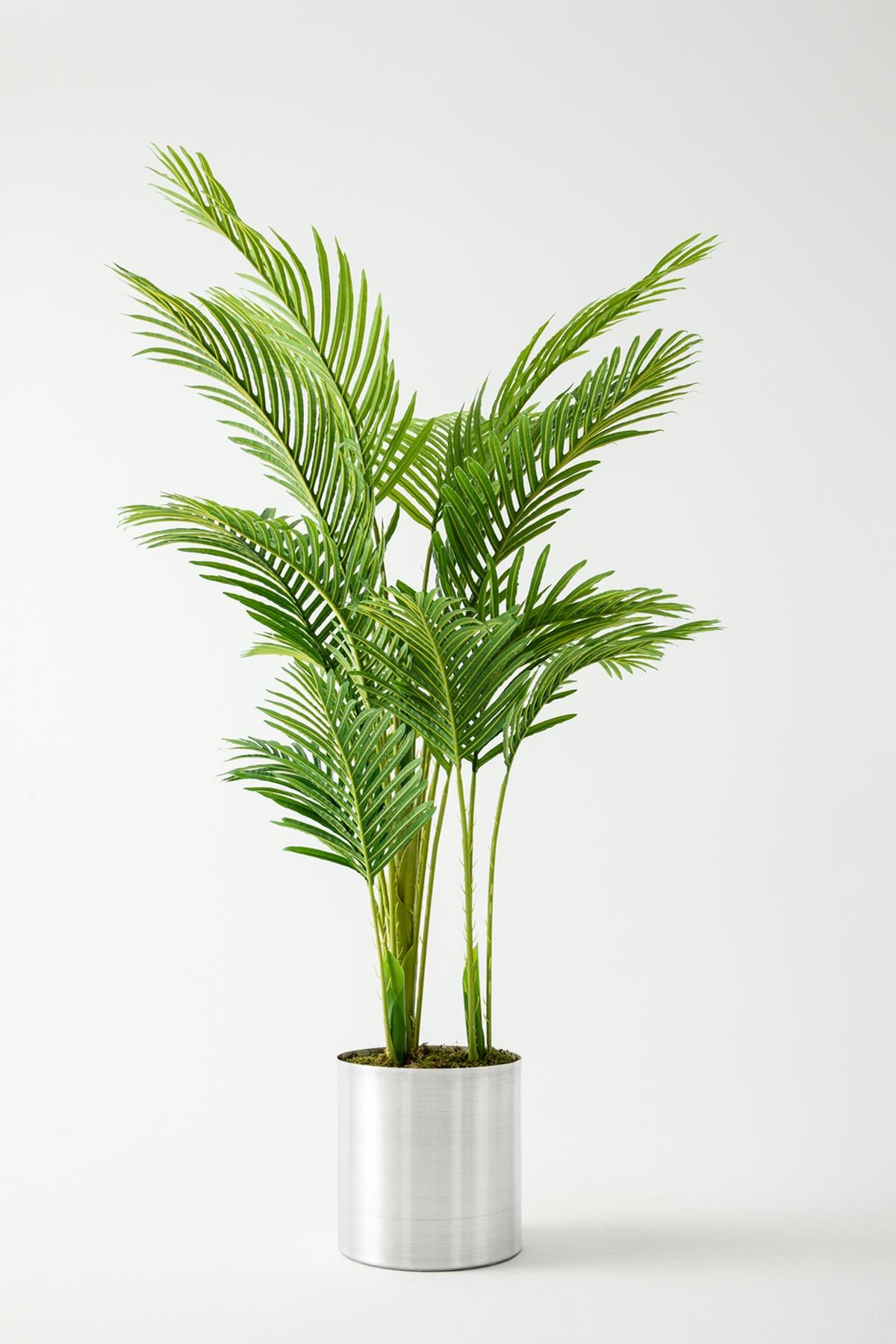 Yapay Areka Palmiyesi 180 Cm