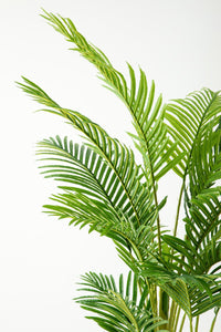 Yapay Areka Palmiyesi 180 Cm