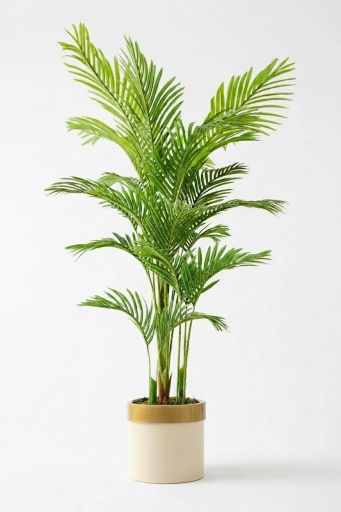 Yapay Areka Palmiyesi 195 Cm Krem Gold Saksı