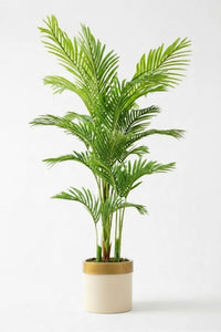 Yapay Areka Palmiyesi 195 Cm Krem Gold Saksı