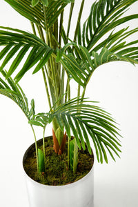 Yapay Areka Palmiyesi 195 Cm (Saksısız)