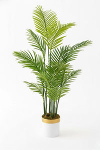 Yapay Areka Palmiyesi Ağacı