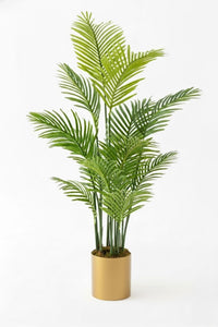 Yapay Areka Palmiyesi Ağacı