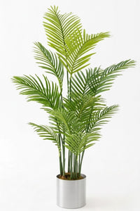 Yapay Areka Palmiyesi Ağacı