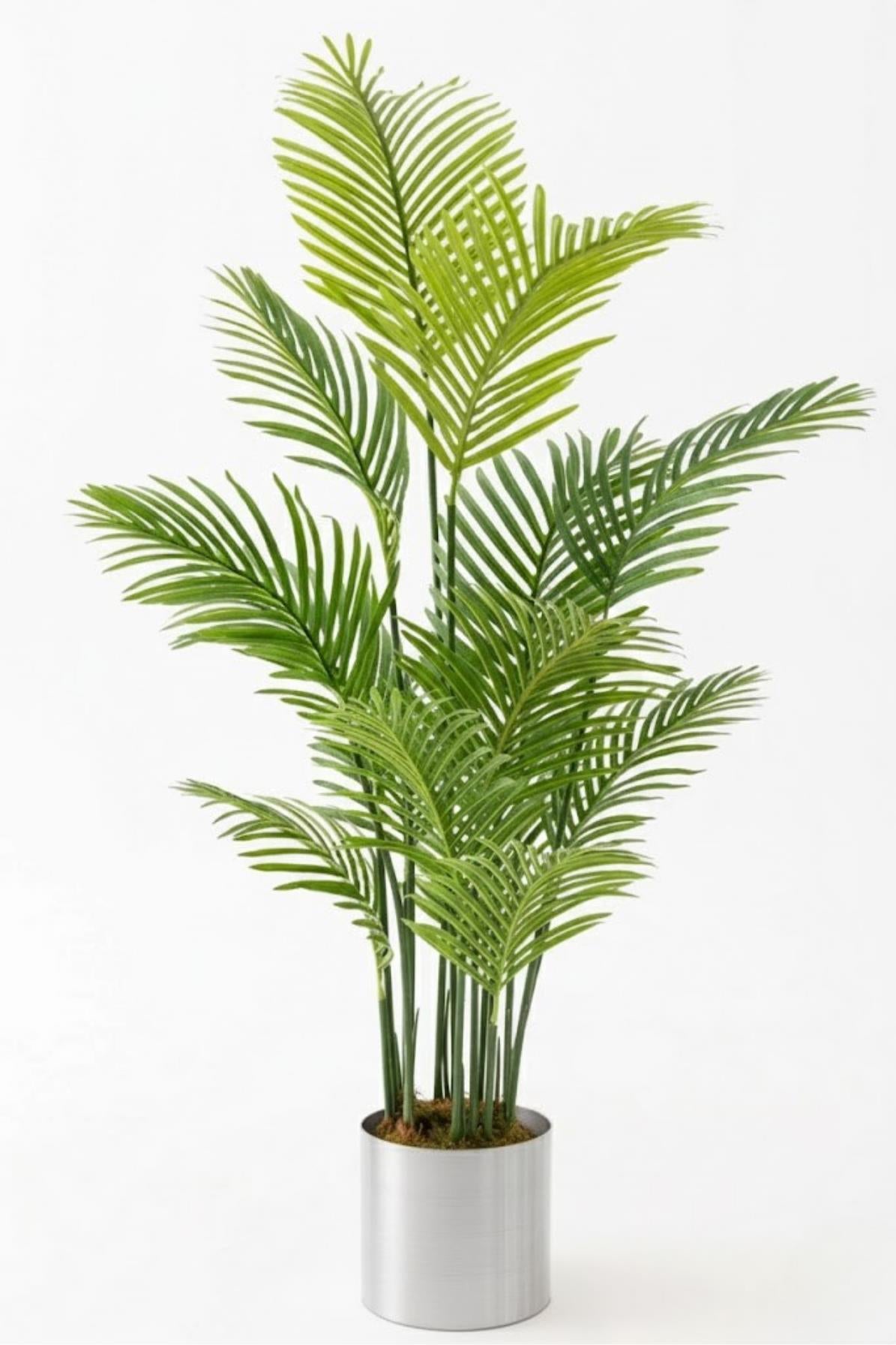 Yapay Areka Palmiyesi Ağacı