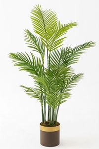 Yapay Areka Palmiyesi Ağacı