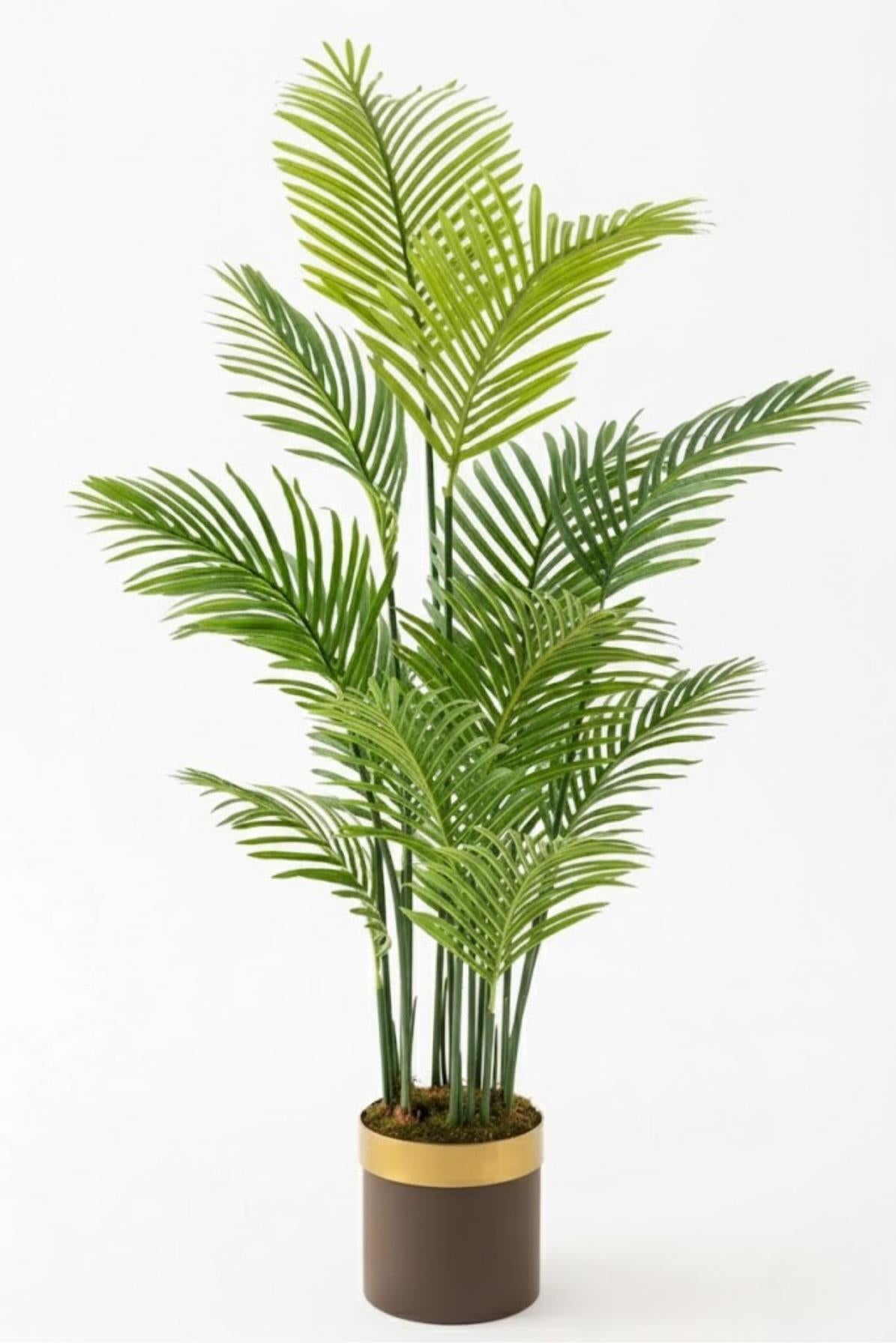 Yapay Areka Palmiyesi Ağacı