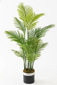 Yapay Areka Palmiyesi Ağacı