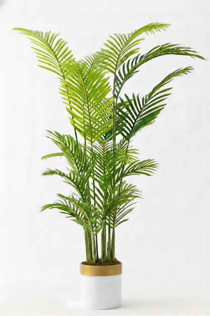 Yapay Areka Palmiyesi Ağacı