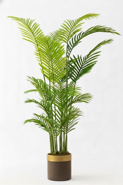 Yapay Areka Palmiyesi Ağacı