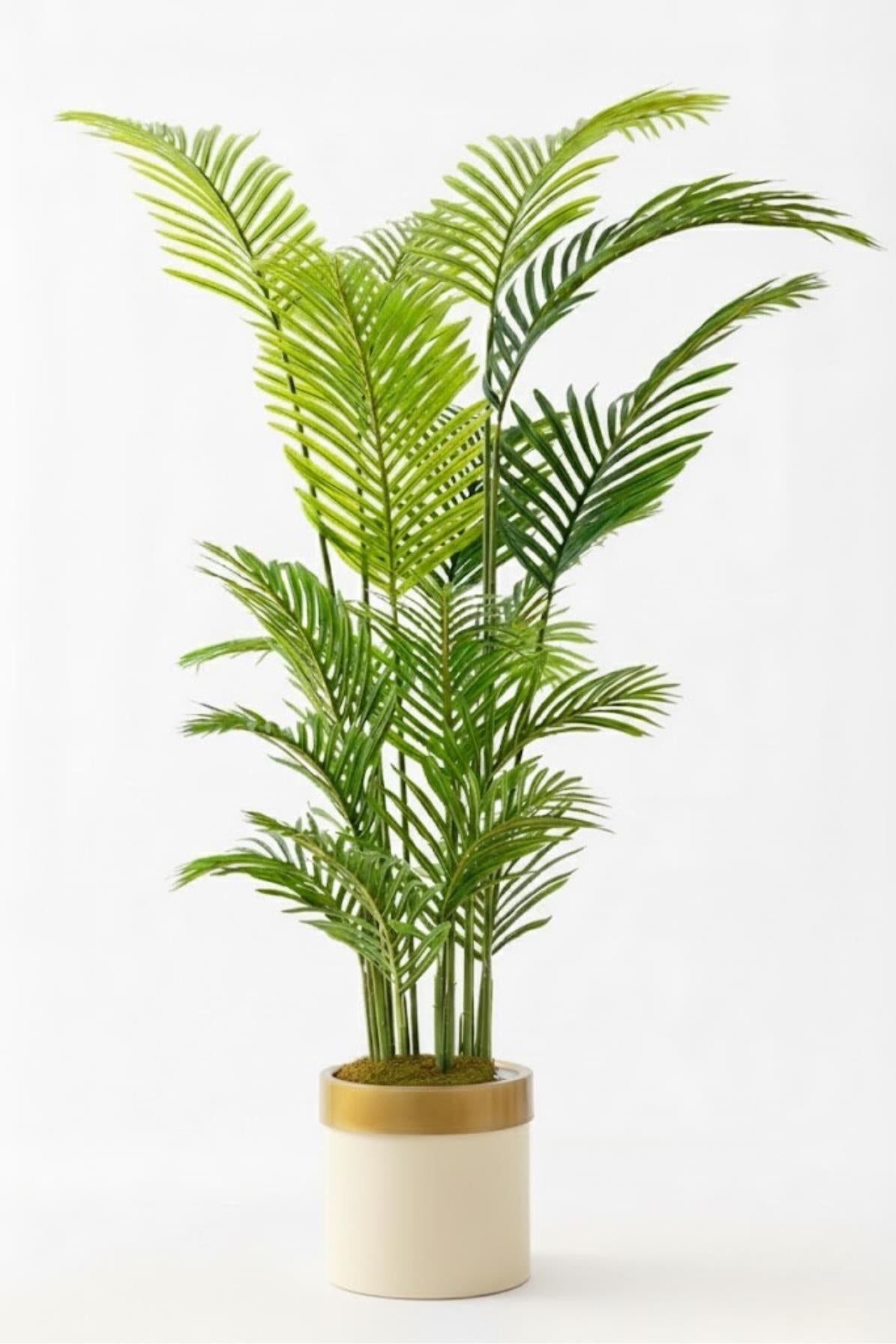 Yapay Areka Palmiyesi Ağacı