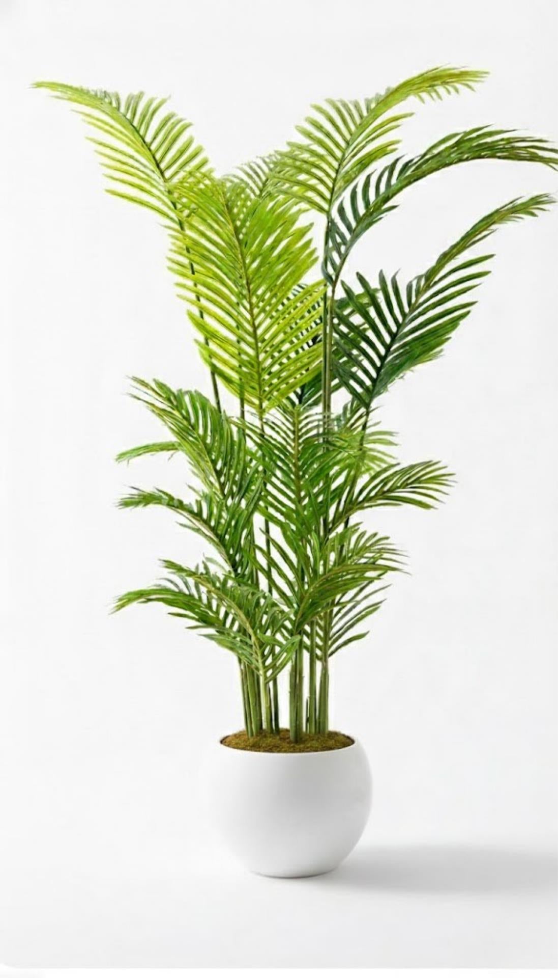 Yapay Areka Palmiyesi Ağacı