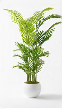 Yapay Areka Palmiyesi Ağacı