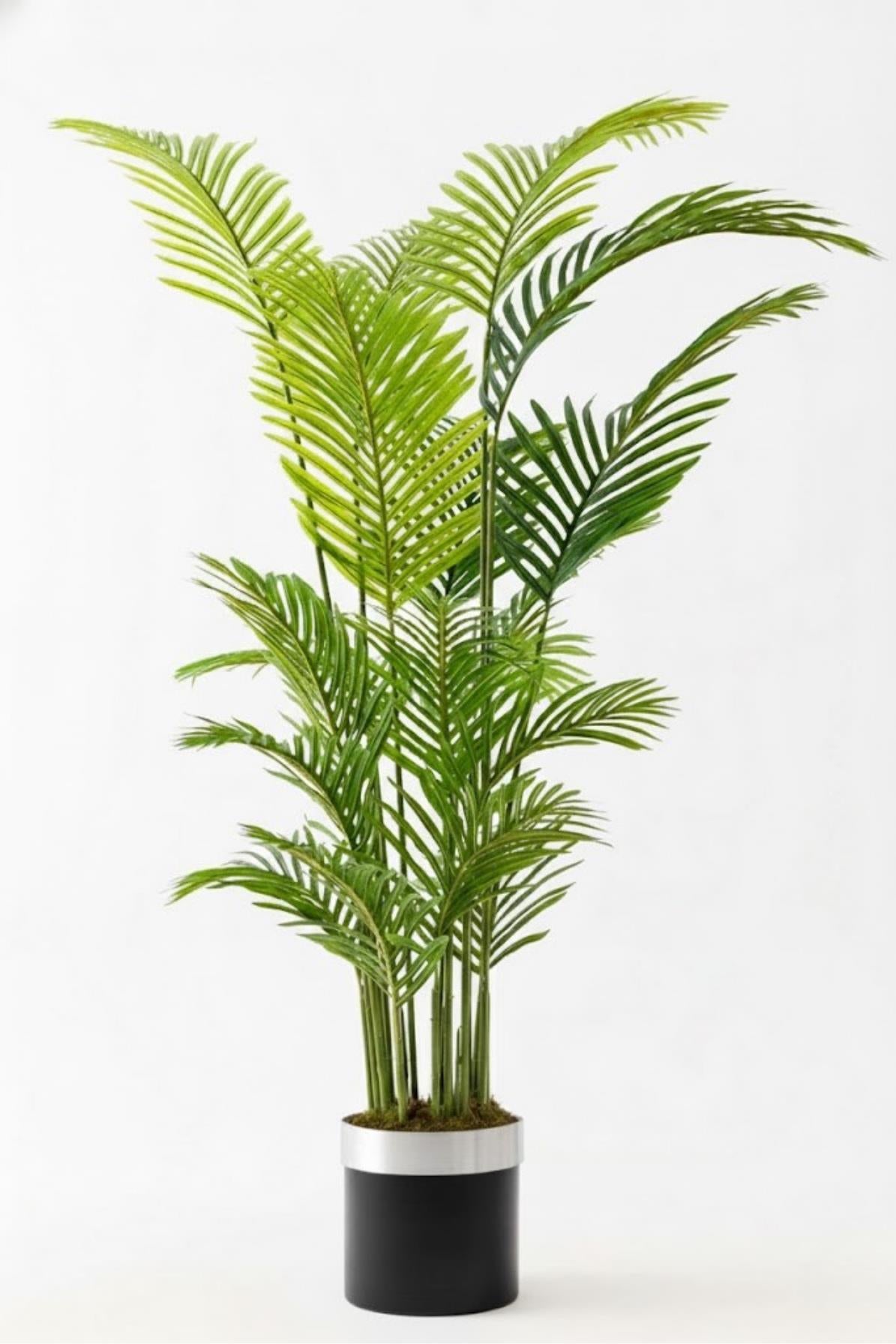 Yapay Areka Palmiyesi Ağacı