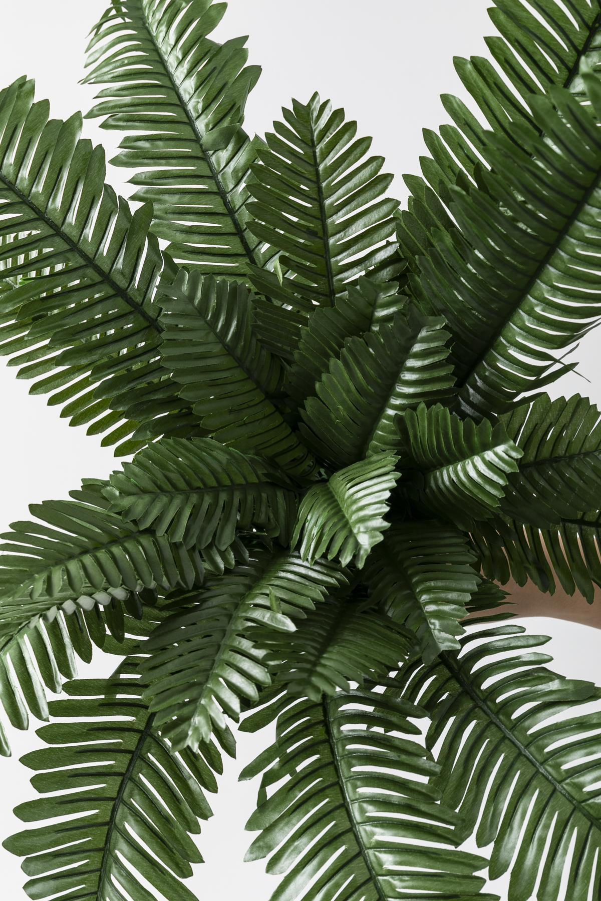 Yapay Aşk Merdiveni 55 Cm 24 Dal