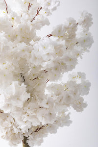 Yapay Bahar Dalı Ağacı 150 Cm 30 Dal Beyaz